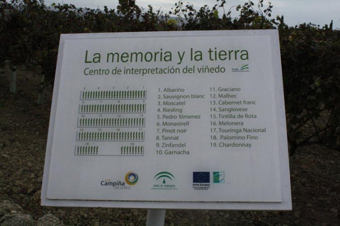 Centro de Interpretación del Viñedo de Bodegas Luis Pérez, Jerez de la Frontera