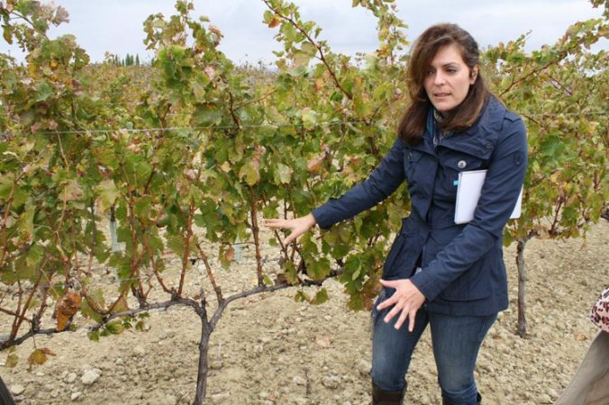 Fátima Pérez explicando las peculiaridades y curiosidades de los viñedos de las Bodegas Luis Pérez