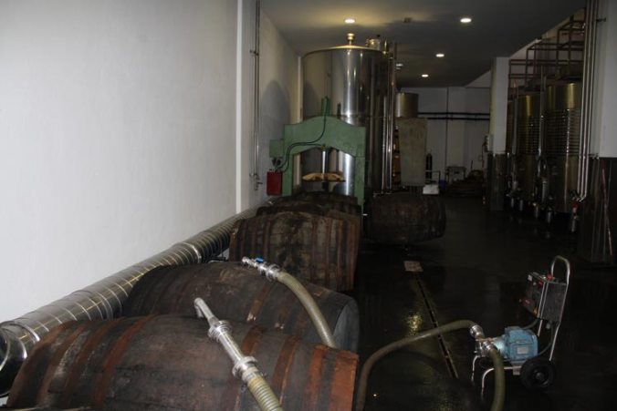 Llenado de las barricas con el vino fermentado listo para envejecer, Bodegas Luis Pérez